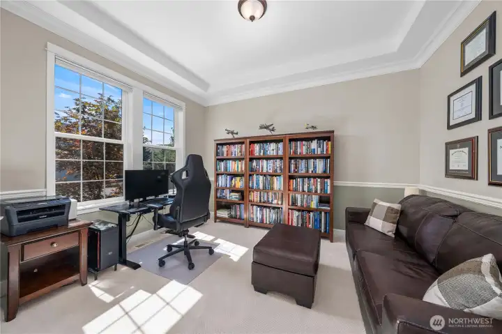 Bright and versatile main-level bedroom or den with tray ceiling, large windows, and ample space for work or study.