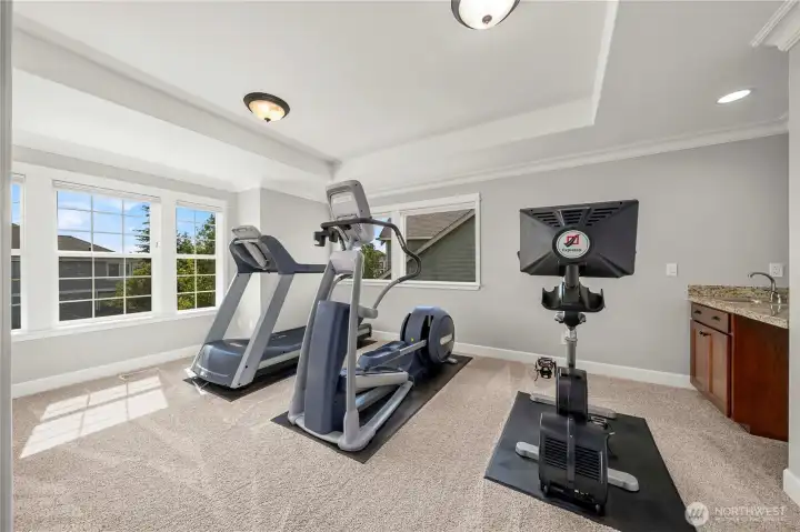 xpansive, versatile space with tray ceiling, wet bar, and large windows—ideal as a media room, home gym, or guest suite.