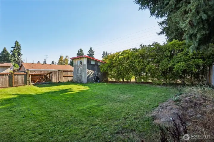 Backyard + shed