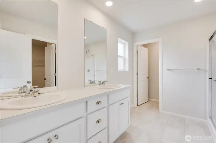 Primary Suite Bathroom with the Shower.