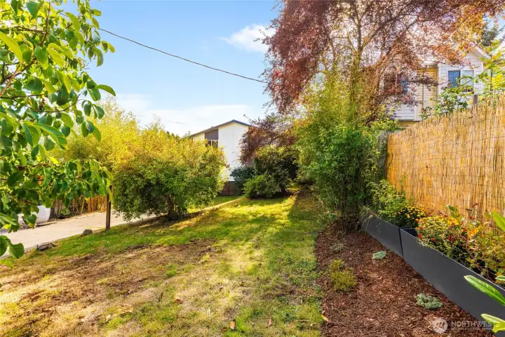 Plenty of room far a DADU in front yard