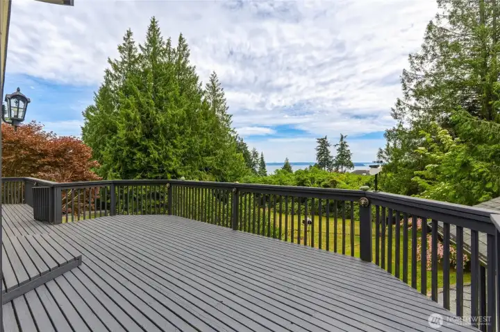 Large deck off of the dining area and great room. Large deck off of the dining area and great room.