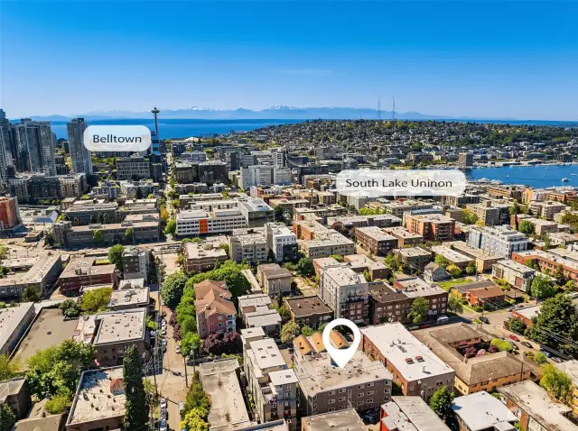 Conveniently situated with easy access to First Hill, Downtown/Belltown and SLU. Mins to light rail, multiple bus routes and I-5 freeway entrances. A commuters dream!