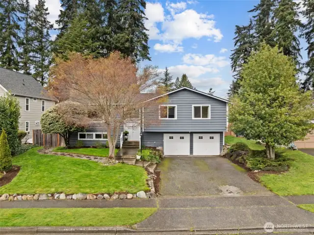 Welcome to Starlite Park! Nestled in the heart of Lynnwood.