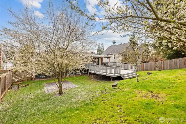 Fruit trees, garden space, room to work garden and play!