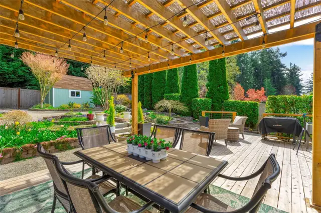 Entertainment sized gazebo and eating space