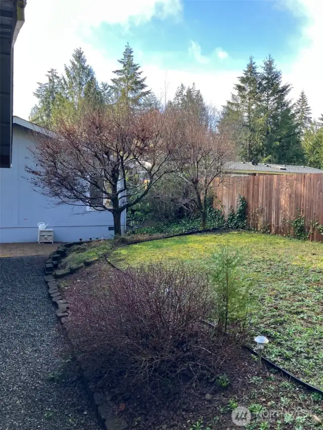 Yard and trees and shrubs.