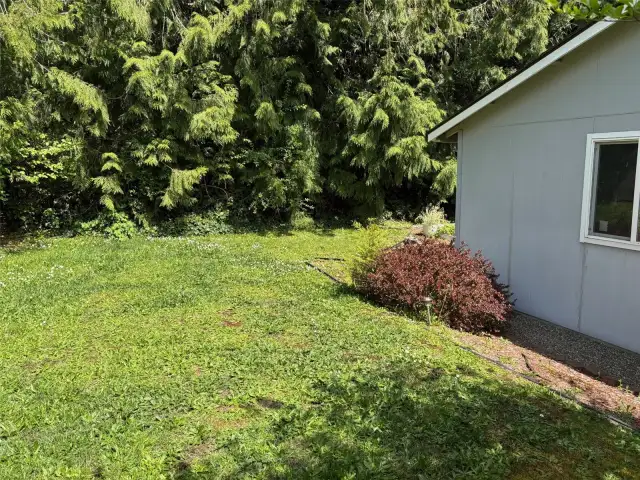 Back yard adjoins an evergreen forest.