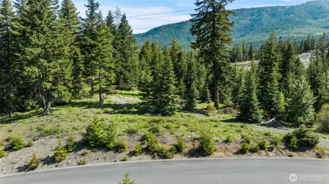 This is the back side of the property perfectly suited for a DADU w/garage and fantastic views of the Stuart Mountain Range.
