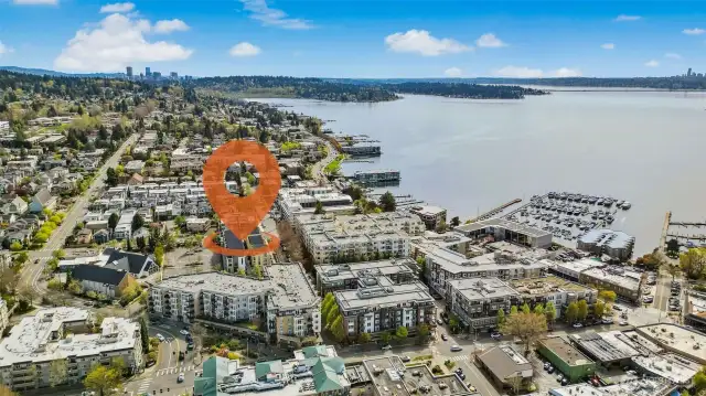 Get a bird's-eye view of the entire Jackson & Elm community—intentionally designed homes with private roof decks, sleek lines, and premium exterior detailing.