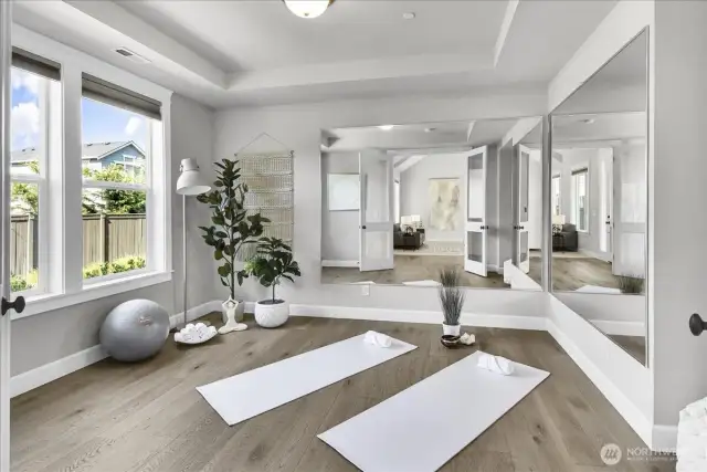 Den or Workout Room