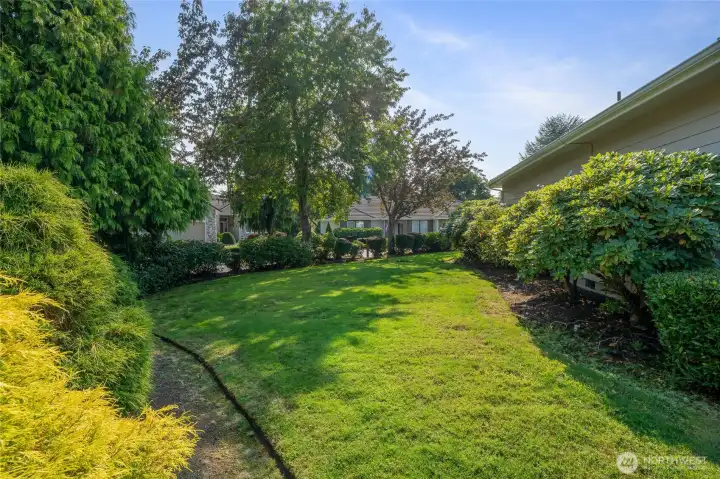 Side yard
