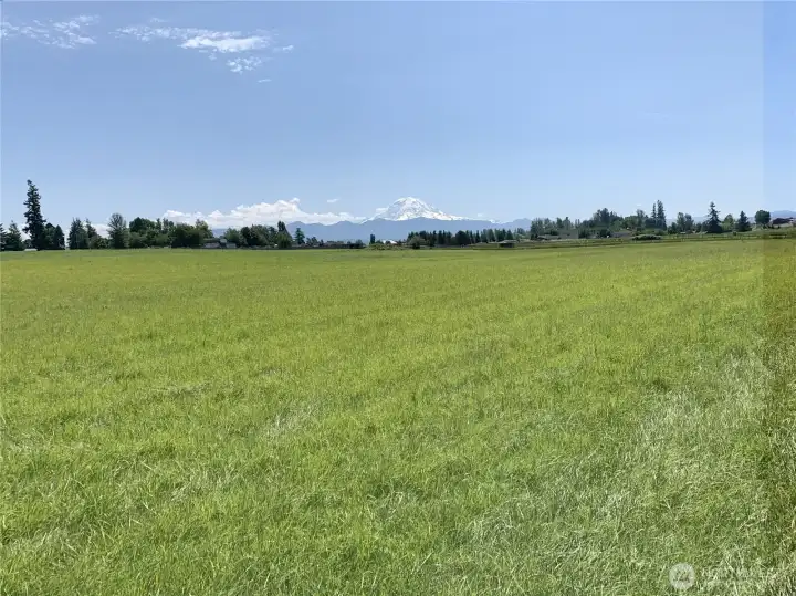 Over 24 acres of wide open, pristine acreage.