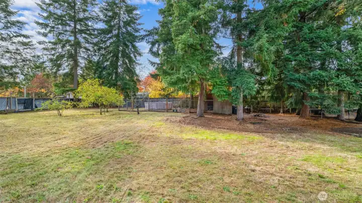 BACKYARD | It's like a park back here! Look at all the room to run. Thinking about an ADU? There's certainly room for one. Check with the county to verify.