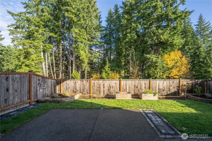 Backyard view, green beit behind so no houses