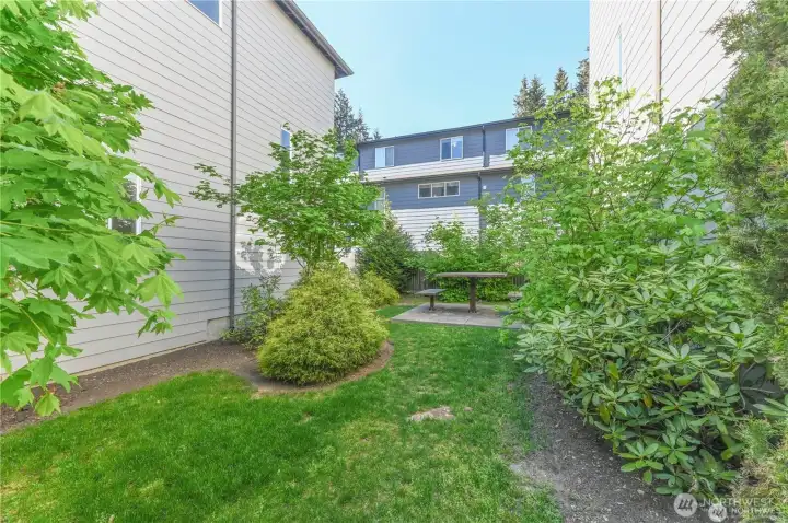 Community Picnic Area