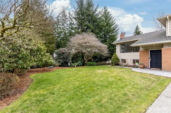 Large front yard bordered by a gorgeous dogwood tree and vibrant rhododendrons