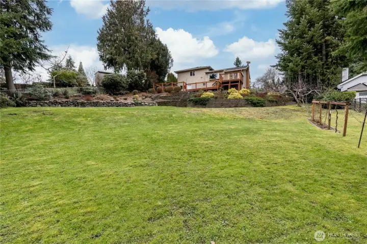 Huge lawn for playtime or just some elbow room. Note the grapevine and mini orchard on the right.