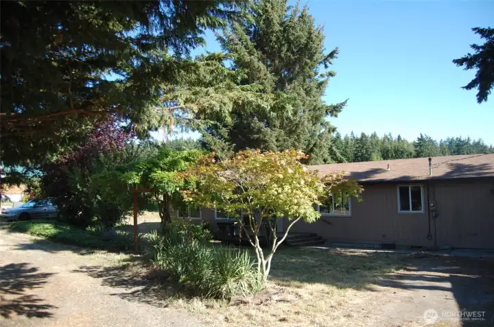 Bushes & trees flourish in the front yard.