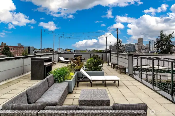 Fabulous roofdeck, views of Mt Rainier on a clear day. With an outdoor fenced dog run and grills.