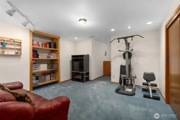 Lower Level Family Room