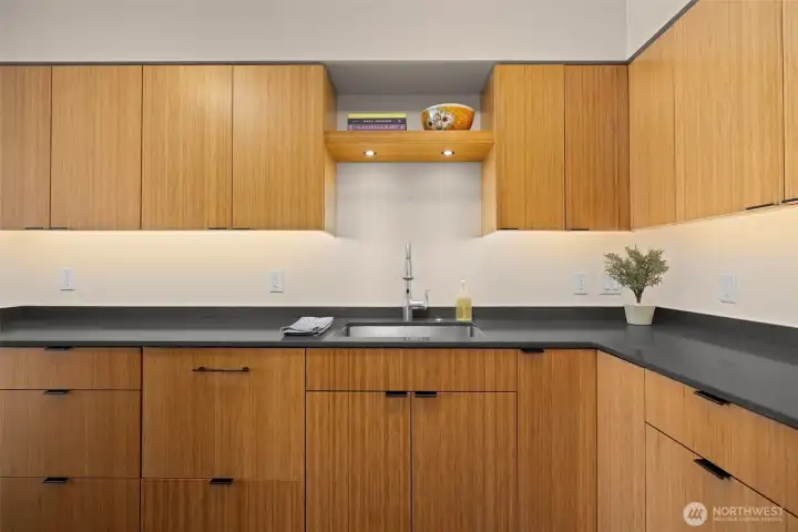 Under cabinet lights and drawer dishwasher.