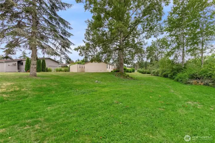 open space behind the home