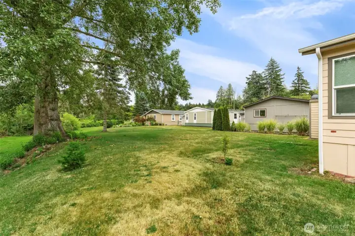 open space behind the home