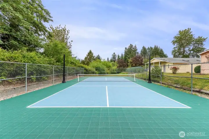 community sports court
