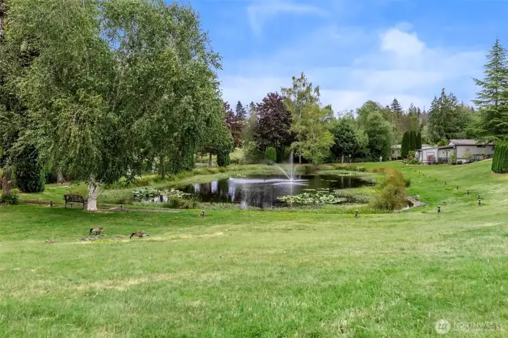 community pond/water feature