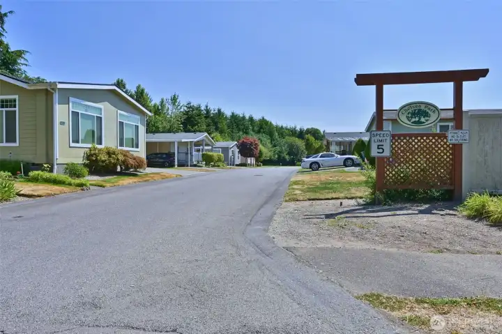 Chelsea Park maintains the private roads of the community Chelsea Park maintains the private roads of the community