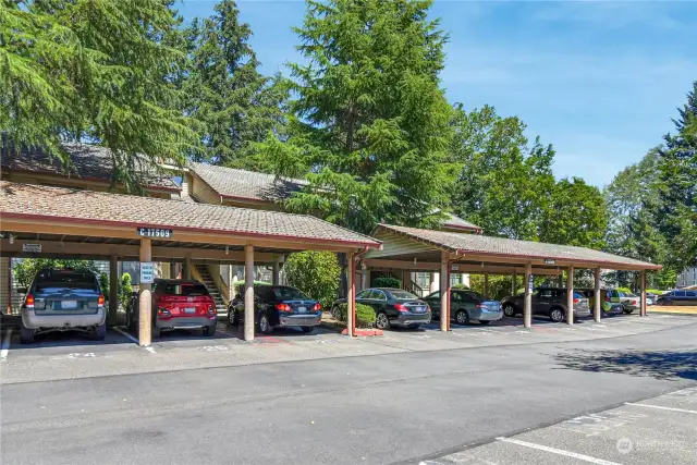 Room to park two cars, one space is dedicated and covered in the carport (#32).