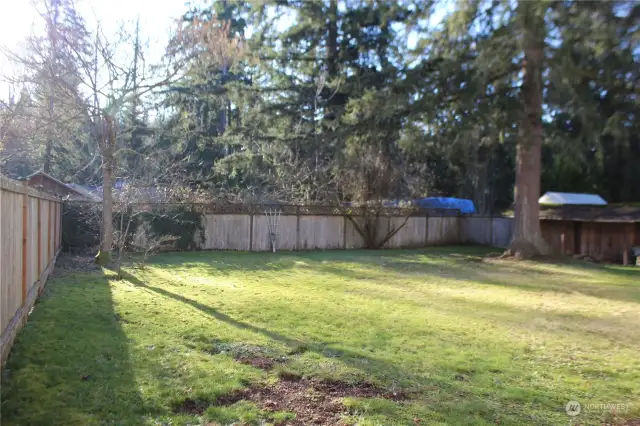 Sprawling back yard