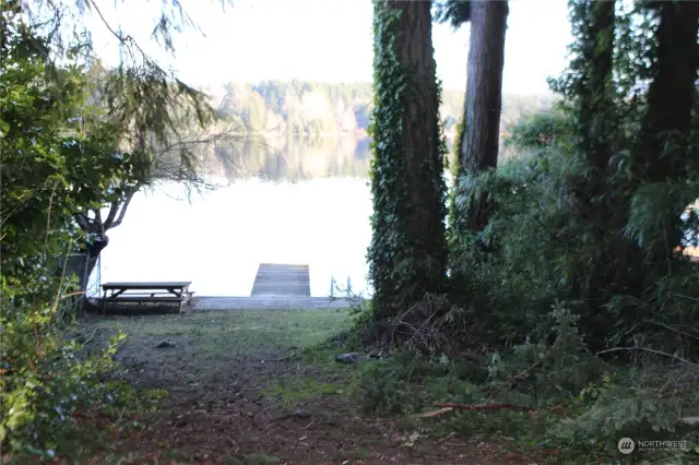 Lake Sawyer community lake front, swim & picnic or watch the fireworks on the 4th of July.