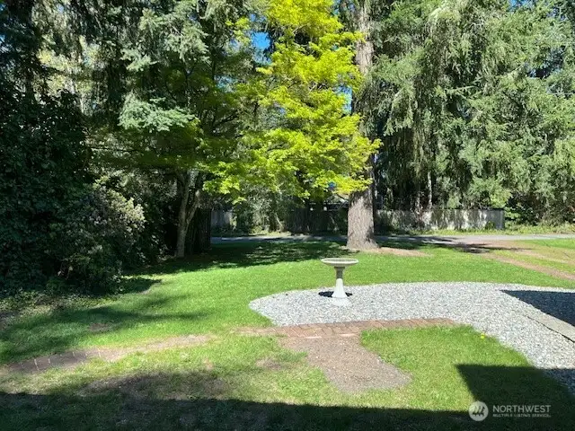Front yard