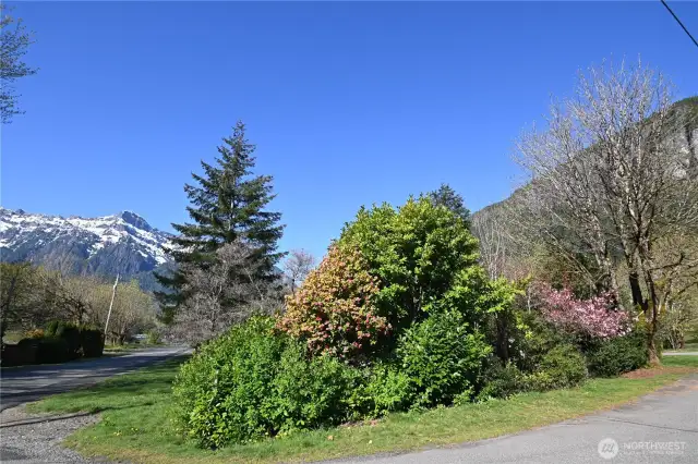 Corner lot with mature landscape, fruit and flowering trees.