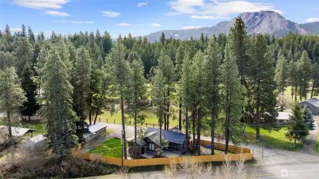 Picture perfect cabin. Close to downtown and easy access to snow park, hiking trails and river..