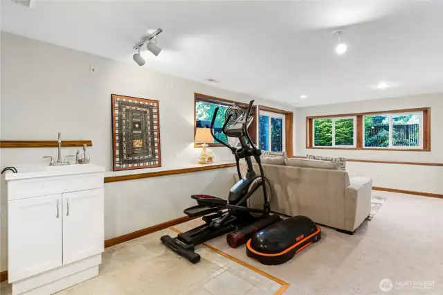 Downstairs living area/bonus room