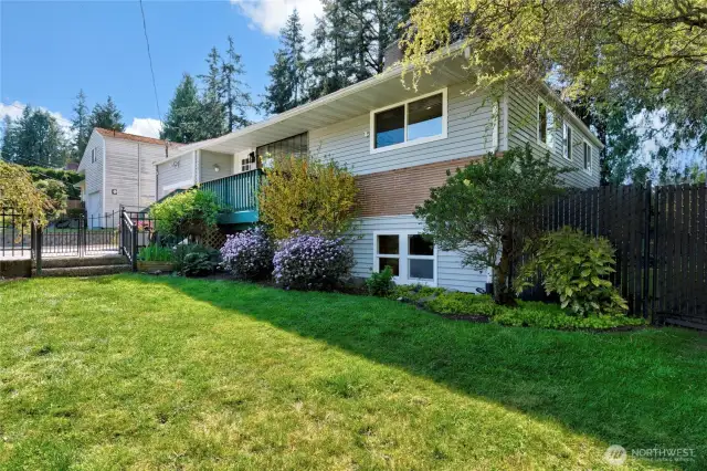 Front yard