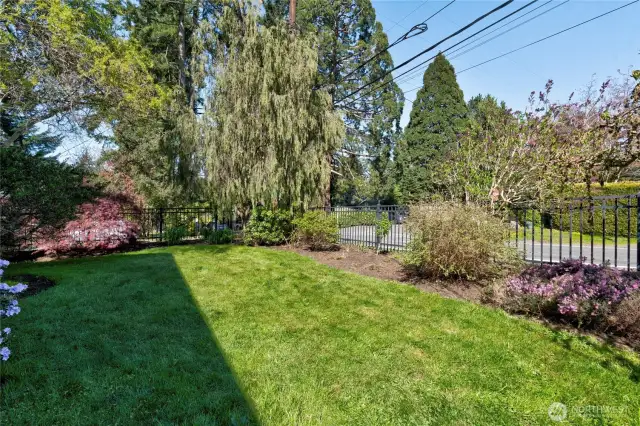 Front yard