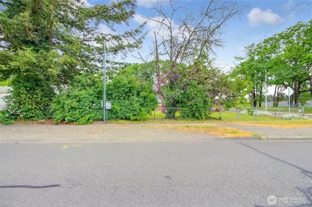 Side view from Lake Street facing property - Union Ave on the right