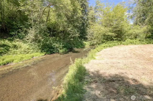 River runs through back half of property.