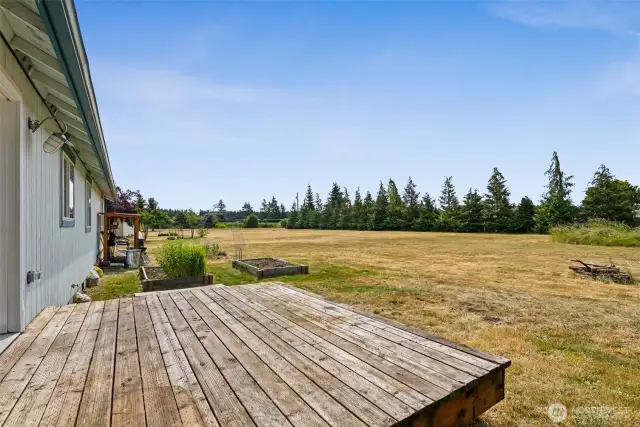 Backyard with Deck, Garden Boxes, and Tons of Potential!