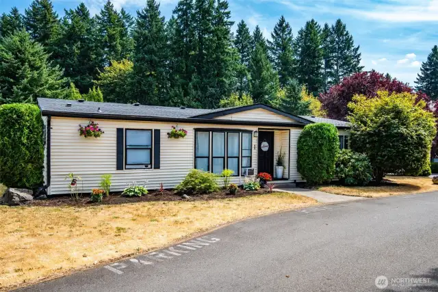 Wide street view showing the peaceful setting and established greenery surrounding the home.