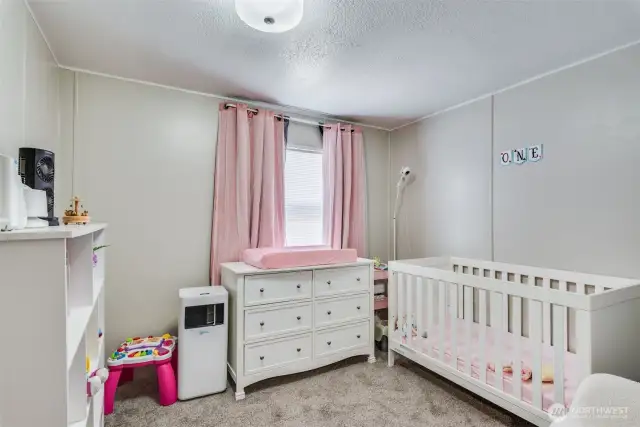 Freshly painted, spacious 2nd bedroom w/plush carpet & large closet.