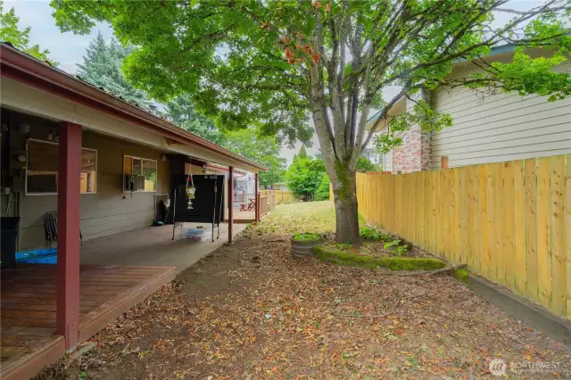 Back Yard
