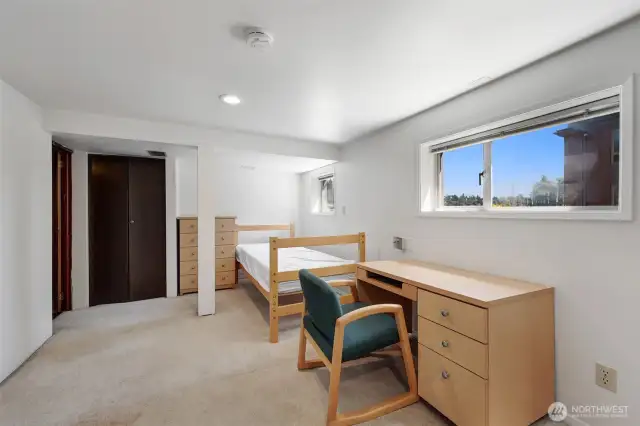 Lower level bedroom
