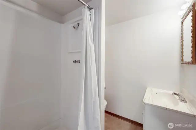 Lower level bathroom