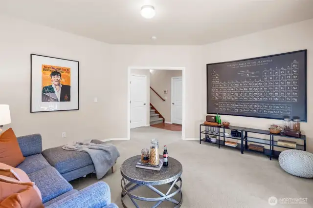 Lower level Bonus/Media room