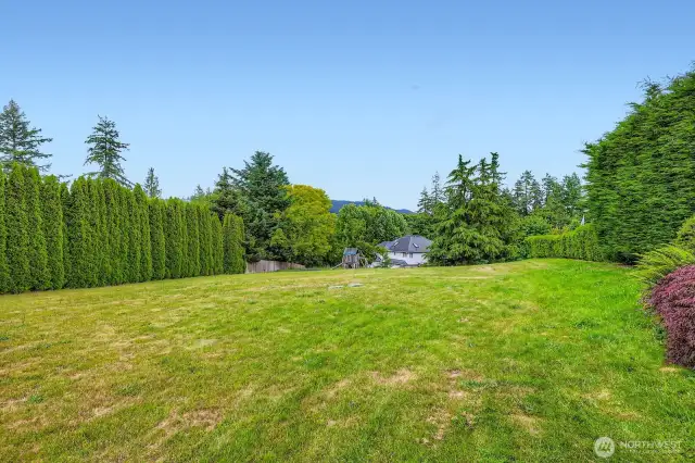 An expansive lot!